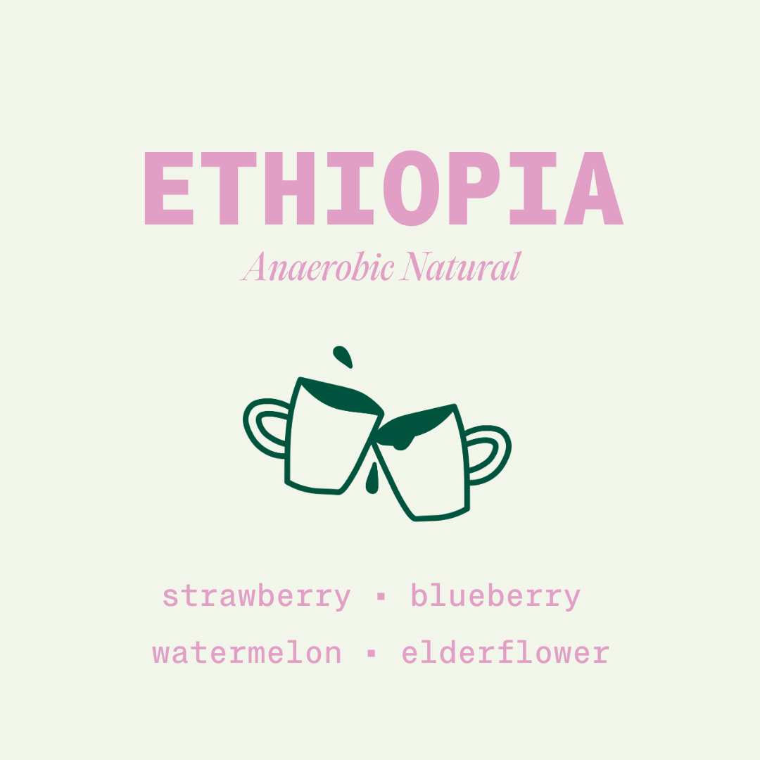 Ethiopia - Anaerobic Natural