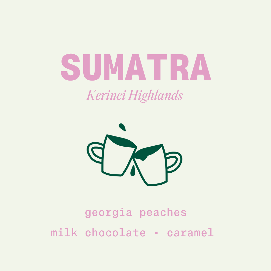 Sumatra - Honey Process