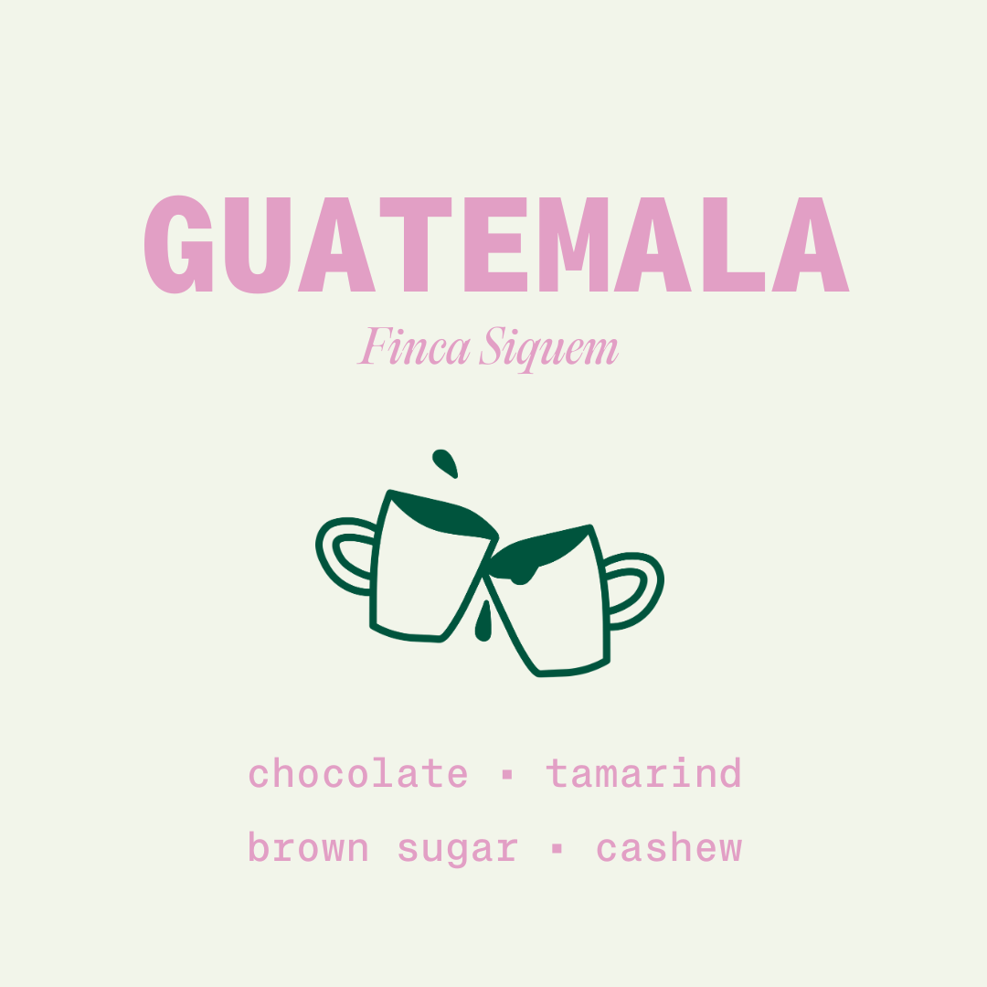 Guatemala - Finca Siquem - Washed