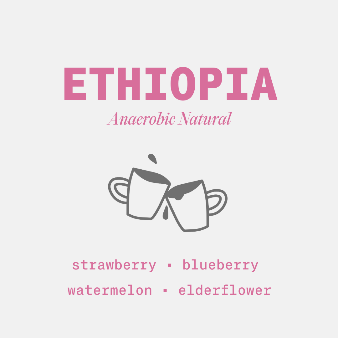 Ethiopia - Anaerobic Natural