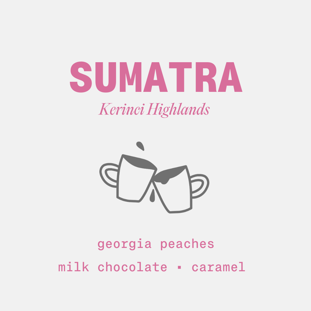 Sumatra - Honey Process