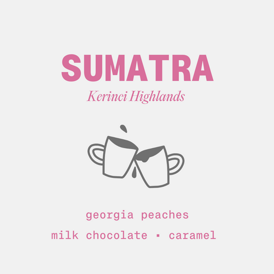 Sumatra - Honey Process