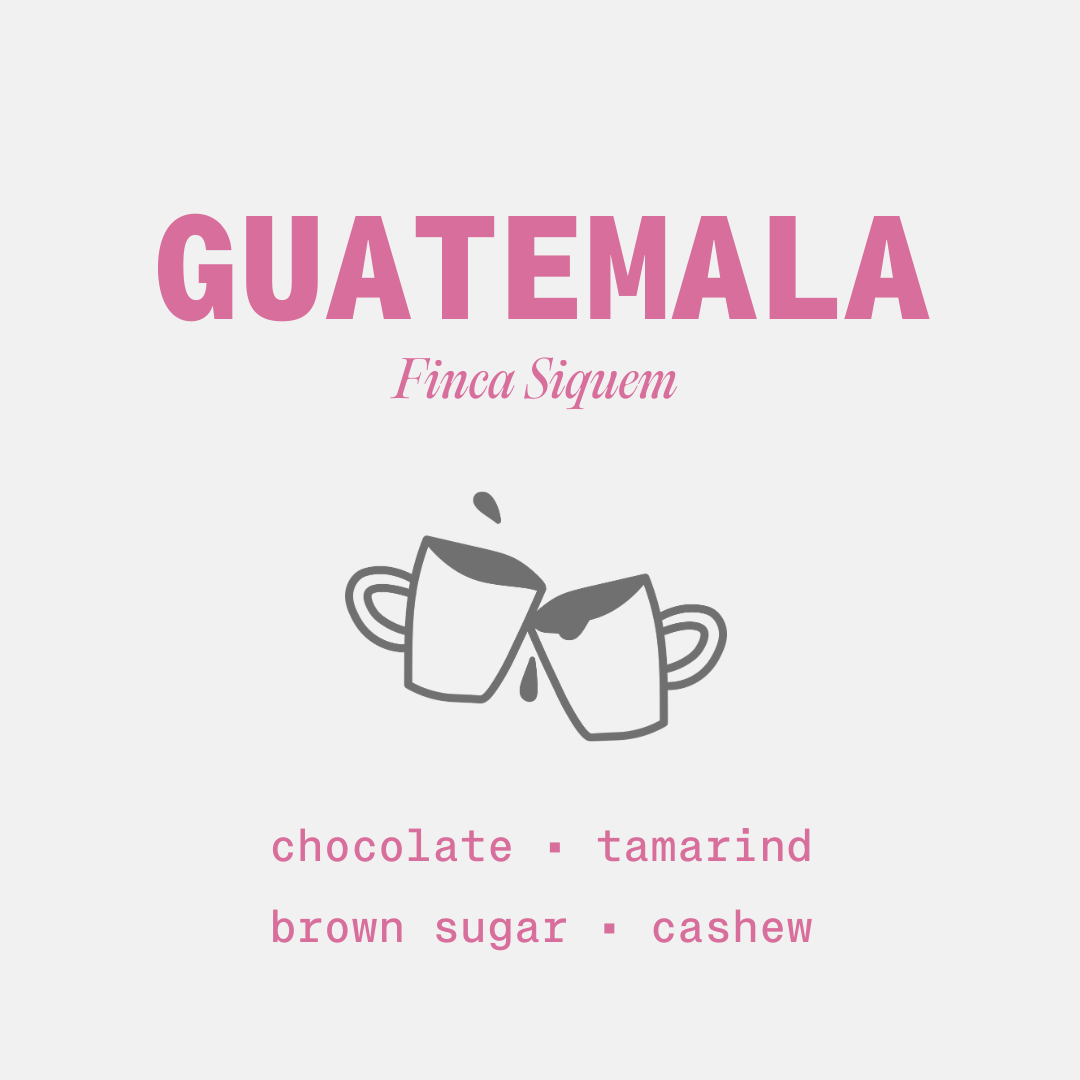 Guatemala - Finca Siquem - Washed