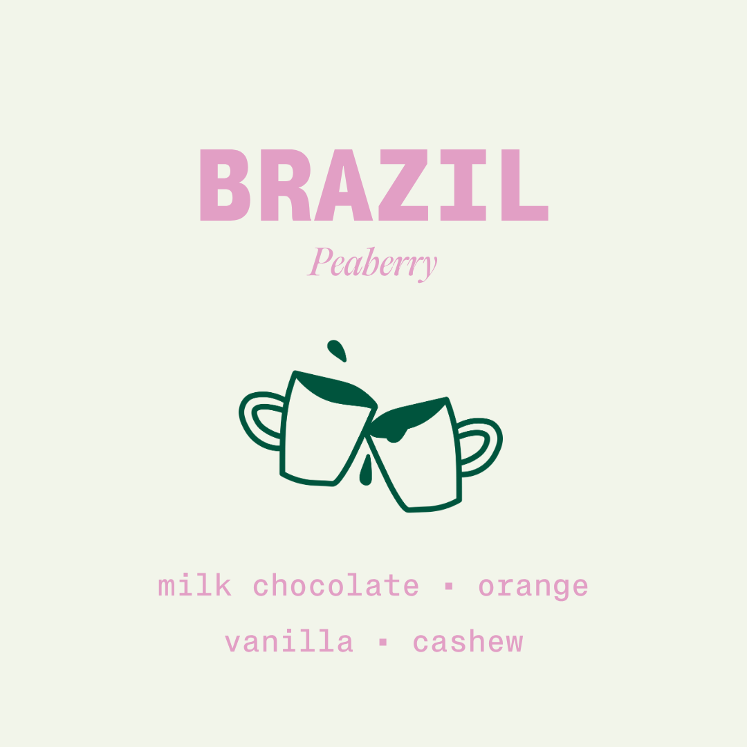 Brazil - Peaberry - NEW ARRIVAL!